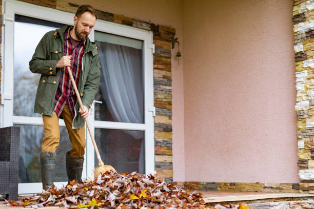 Yard Cleanup Services in University City, MO